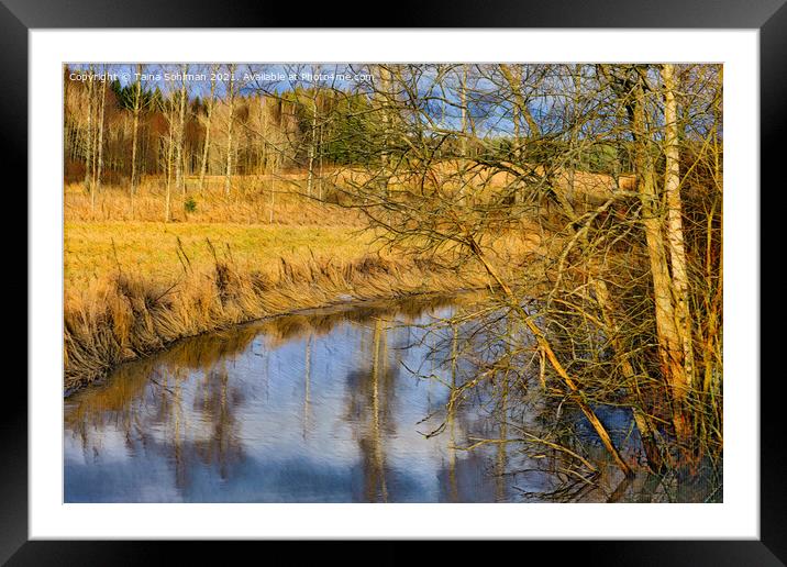 Calm Rural River in Golden Sunlight Framed Mounted Print by Taina Sohlman