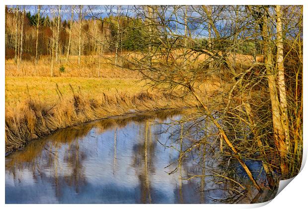 Calm Rural River in Golden Sunlight Print by Taina Sohlman