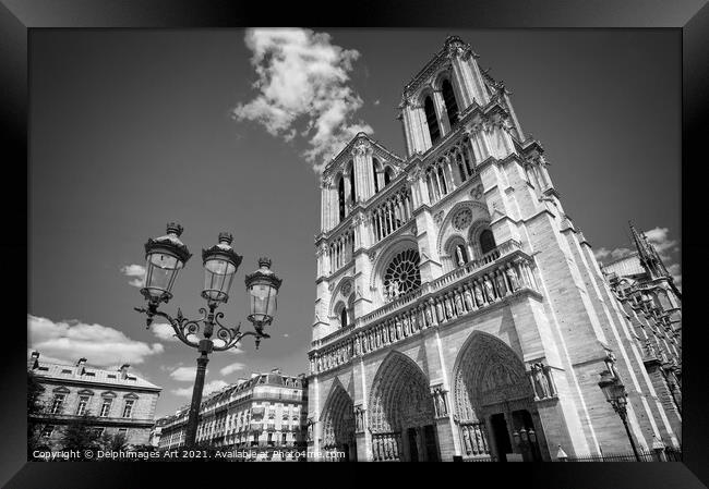 Notre Dame de Paris, black and white Framed Print by Delphimages Art