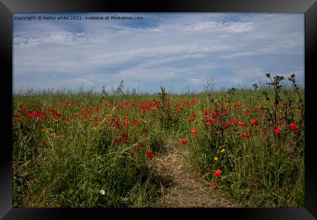 West Pentire Cornwall Red poppies ,,wild flowers Framed Print by kathy white