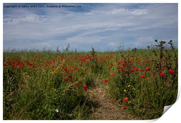 West Pentire Cornwall Red poppies ,,wild flowers Print by kathy white