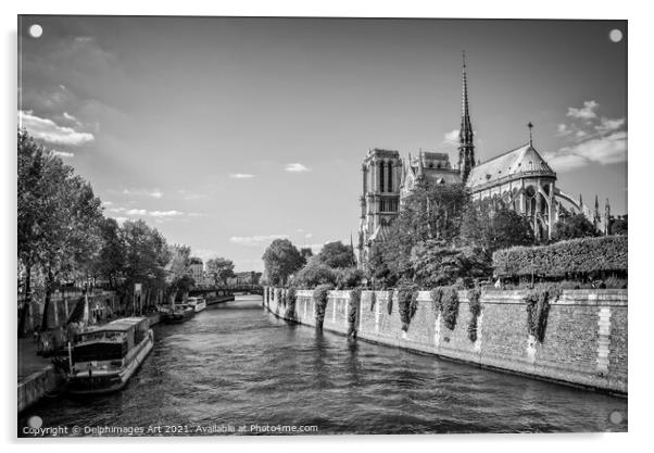 Notre Dame de Paris and the river Seine France Acrylic by Delphimages Art