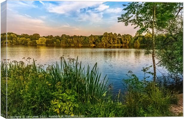 A Quiet Spot By A Lake Canvas Print by Ian Lewis