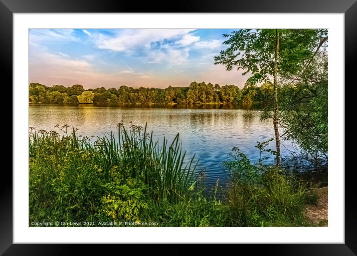 A Quiet Spot By A Lake Framed Mounted Print by Ian Lewis