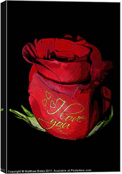 Red Rose Canvas Print by Matthew Bates