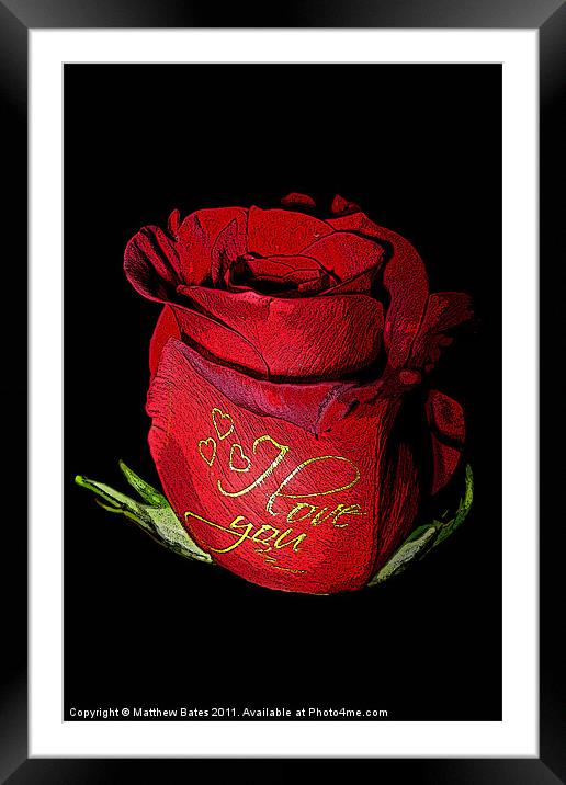 Red Rose Framed Mounted Print by Matthew Bates
