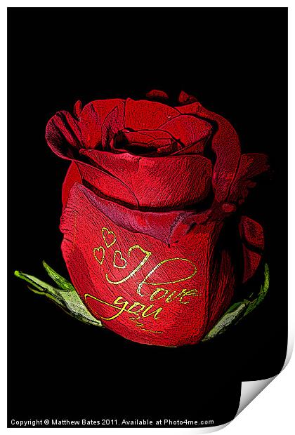 Red Rose Print by Matthew Bates