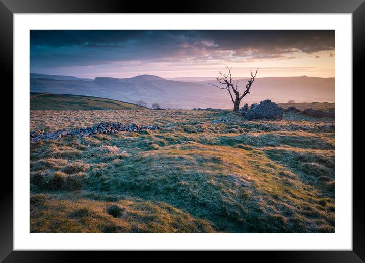 Cow Low Dawn Framed Mounted Print by Paul Andrews