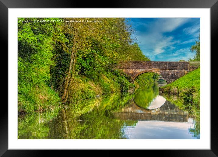 Two bridges  Framed Mounted Print by DAVID FLORY