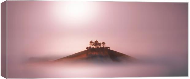 Rose Gold Mists Panoramic Crop Canvas Print by David Neighbour
