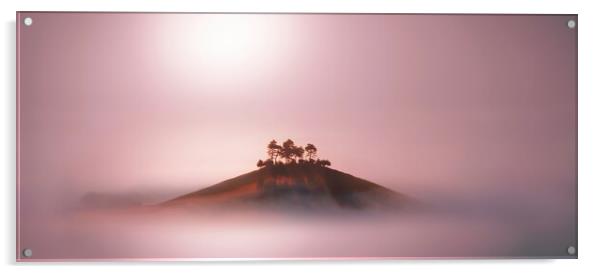 Rose Gold Mists Panoramic Crop Acrylic by David Neighbour