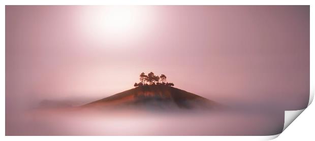 Rose Gold Mists Panoramic Crop Print by David Neighbour