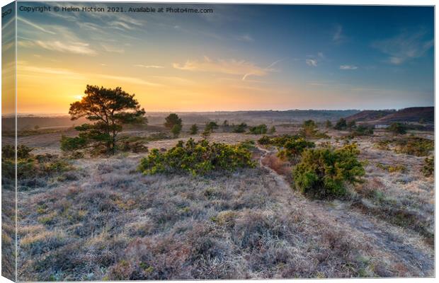 Sunset over the heath at WInfrith Canvas Print by Helen Hotson