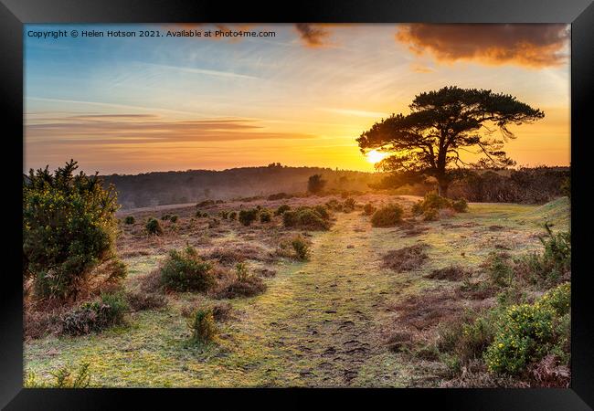 Dramatic sunset over the New Forest National Park Framed Print by Helen Hotson
