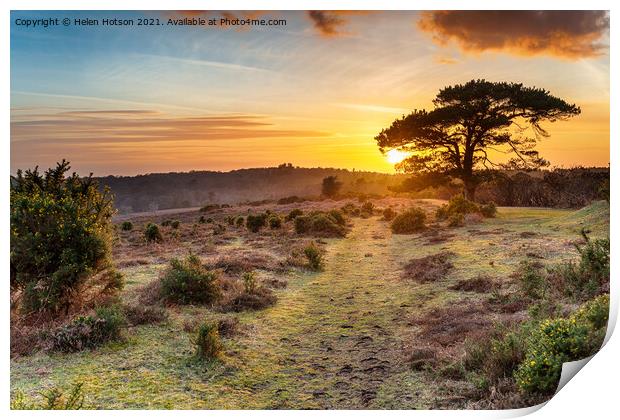Dramatic sunset over the New Forest National Park Print by Helen Hotson