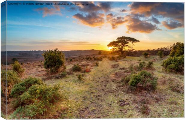 Stunning sunset over Bratley View in the New Forest Canvas Print by Helen Hotson