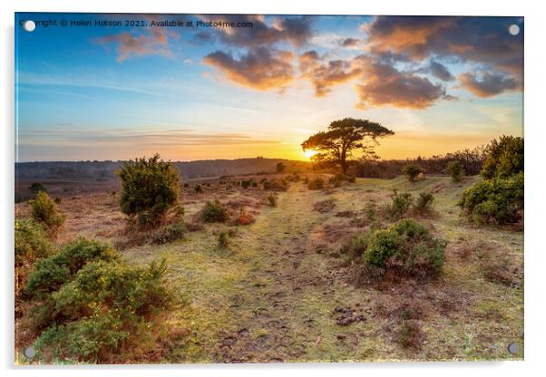 Stunning sunset over Bratley View in the New Forest Acrylic by Helen Hotson