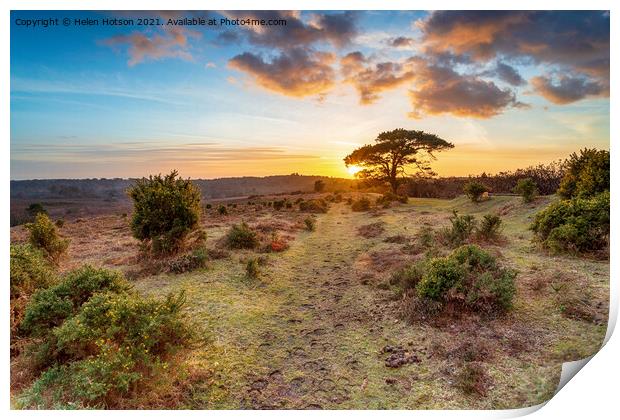 Stunning sunset over Bratley View in the New Forest Print by Helen Hotson