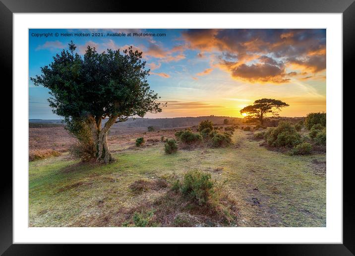 Beautiful sunset in the New Forest at Bratley View Framed Mounted Print by Helen Hotson