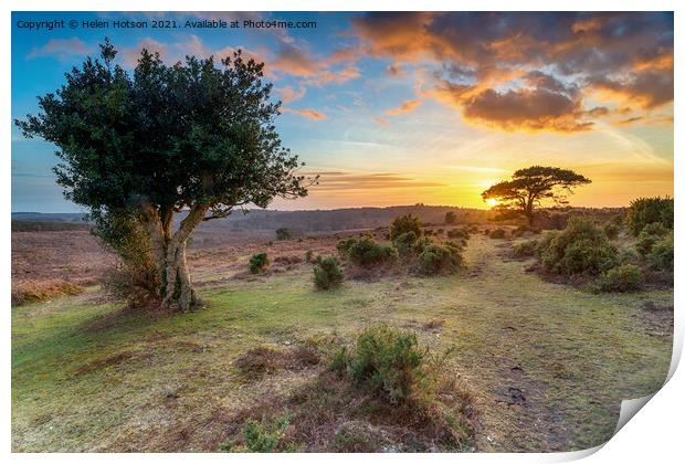 Beautiful sunset in the New Forest at Bratley View Print by Helen Hotson