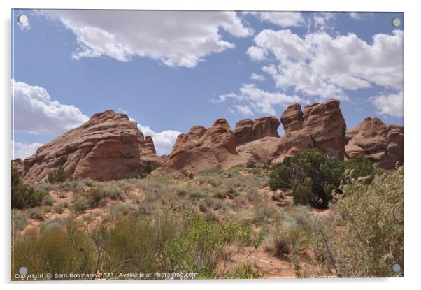 Rock Formation, Arches National Park Acrylic by Sam Robinson