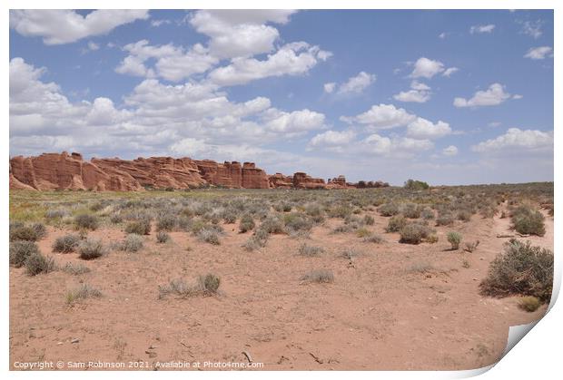 Desert Landscape Arches National Park Print by Sam Robinson