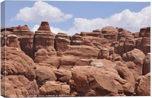 Fiery Furnace Close Up, Arches National Park Canvas Print by Sam Robinson
