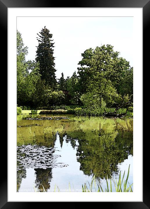 Longstock Park Water Garden 02 Framed Mounted Print by Sandra Day