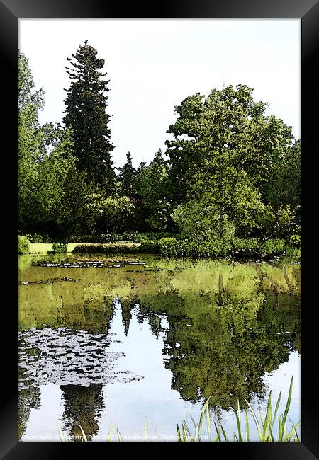 Longstock Park Water Garden 02 Framed Print by Sandra Day