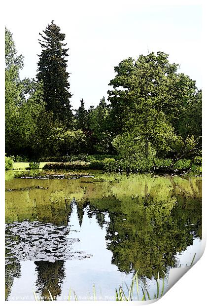 Longstock Park Water Garden 02 Print by Sandra Day