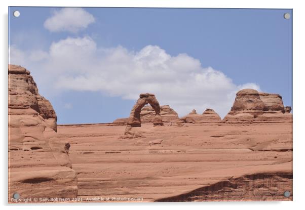 Delicate Arch, Arches National Park Acrylic by Sam Robinson