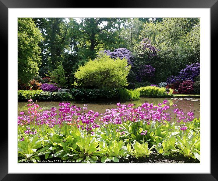  Water Garden Longstock Park 04 Framed Mounted Print by Sandra Day