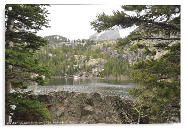 Bear Lake, Rocky Mountain National Park Acrylic by Sam Robinson