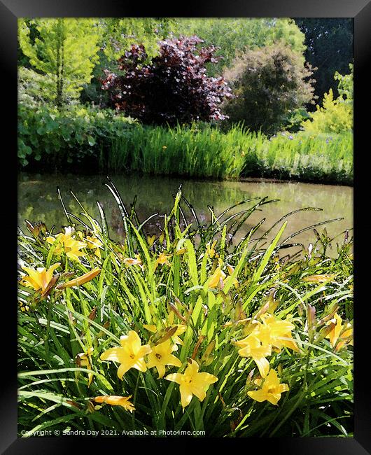 Water Garden Longstock Park 05 Framed Print by Sandra Day