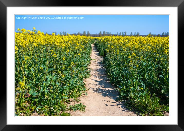 Path through Rapeseed Field Framed Mounted Print by Geoff Smith
