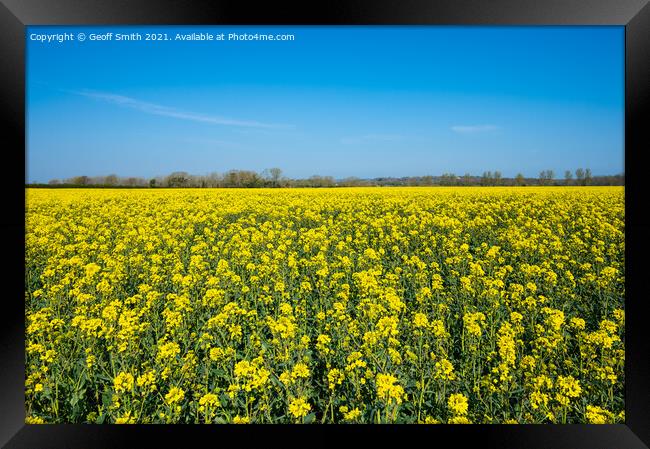 Rapeseed Field in Spring Framed Print by Geoff Smith