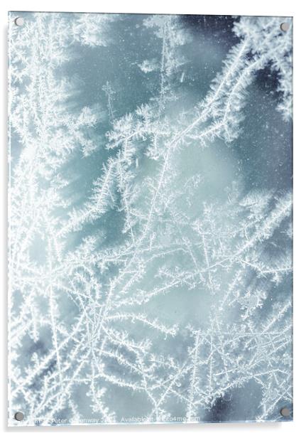 Frost Fractal Patterns On A Pane Of Glass Acrylic by Peter Greenway