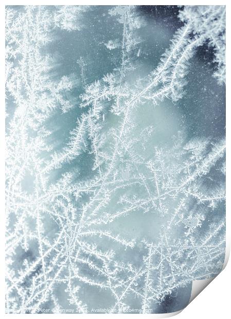 Frost Fractal Patterns On A Pane Of Glass Print by Peter Greenway