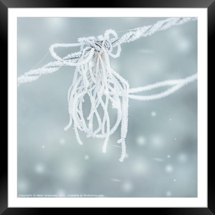Frosted Strands On Barbed Wire Framed Mounted Print by Peter Greenway