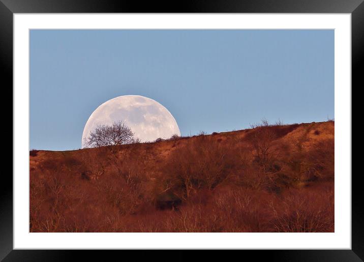 The Moon Rising Behind a Tree Framed Mounted Print by Susan Snow