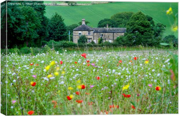 Flockton Flower Meadow  Canvas Print by Alison Chambers