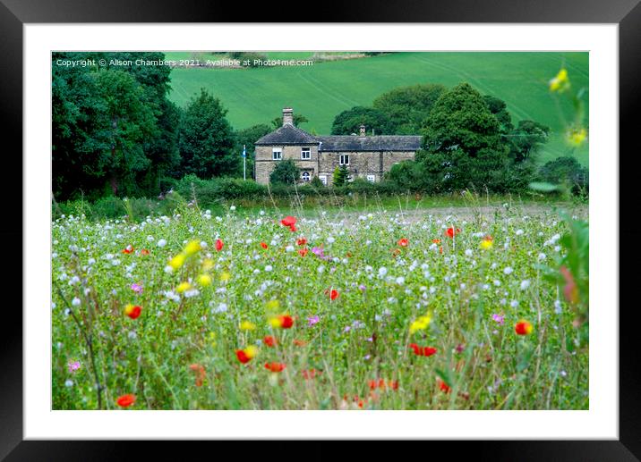 Flockton Flower Meadow  Framed Mounted Print by Alison Chambers