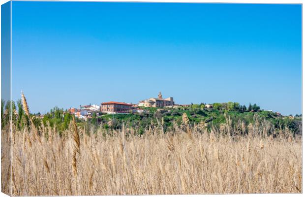 distant view of Castilian village over sown meadows Canvas Print by David Galindo