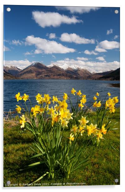 Five Sisters of Kintail in Spring Scotland Acrylic by Barbara Jones