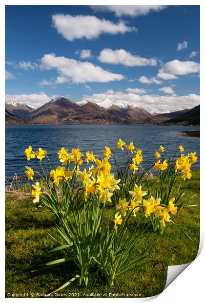 Five Sisters of Kintail in Spring Scotland Print by Barbara Jones