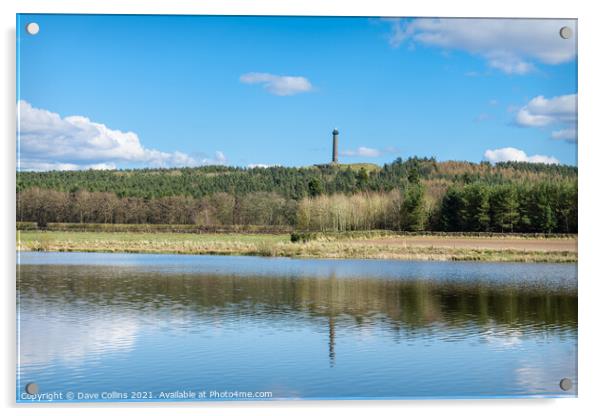 The Waterloo Monument reflected in the unnamed loch near Jedburgh Acrylic by Dave Collins