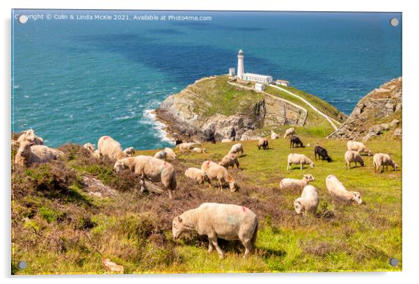 Sheep above South Stack Lighthouse, Anglesey Acrylic by Colin & Linda McKie