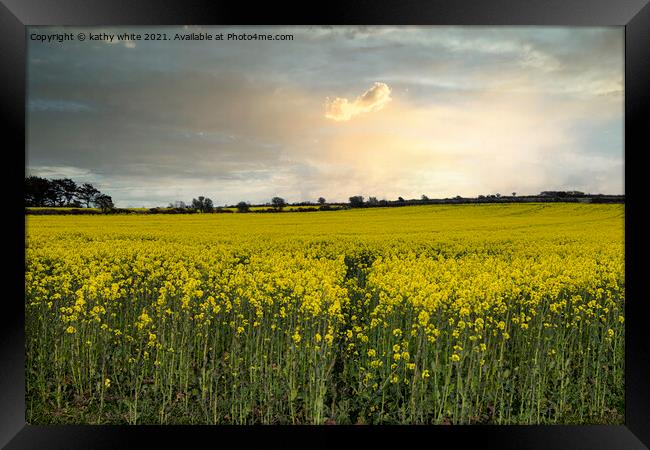 Rapeseed sunset cornwall, at sunset Framed Print by kathy white