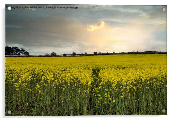 Rapeseed sunset cornwall, at sunset Acrylic by kathy white