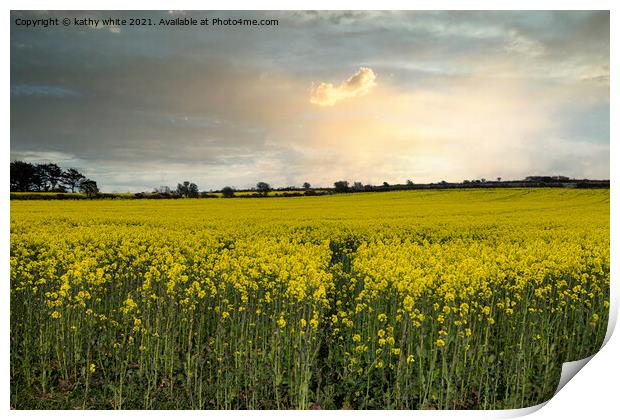Rapeseed sunset cornwall, at sunset Print by kathy white